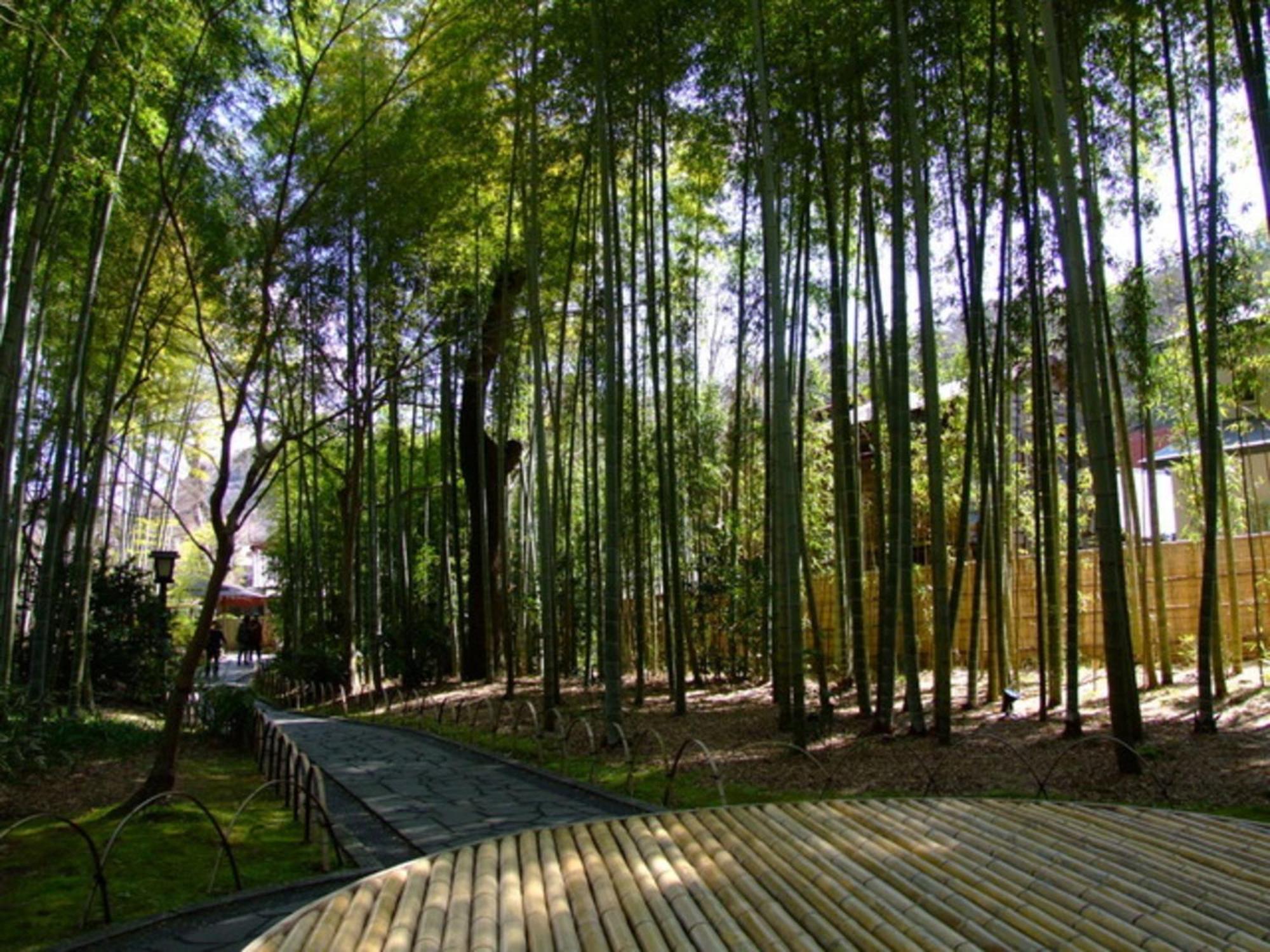Breezbay Shuzenji Hotel Izu  Exterior photo
